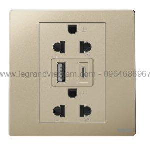 Ổ cắm đôi có USB Legrand 281024ch